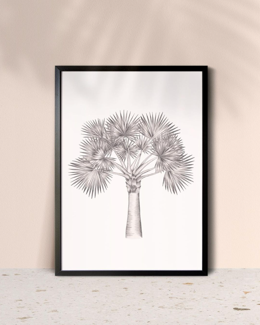 Atelier by Lindsay Bismarck Palm Print